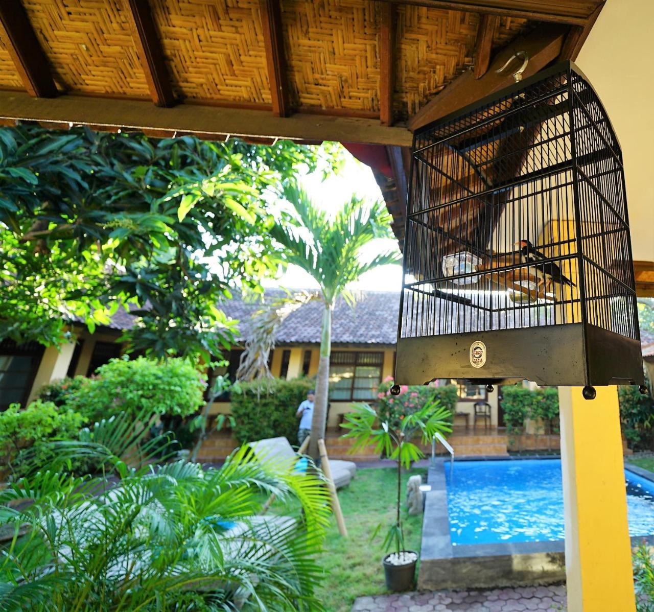 Mangga Bungalow Sanur Kültér fotó